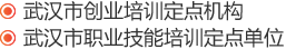 武漢市創(chuàng)業(yè)培訓(xùn)定點機構(gòu),武漢市職業(yè)技能培訓(xùn)定點單位